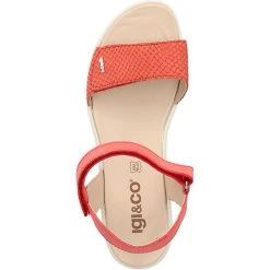 IGI & CO Sandalen Riemchensandaletten - Rot -CELENA-Shop 20990065 06